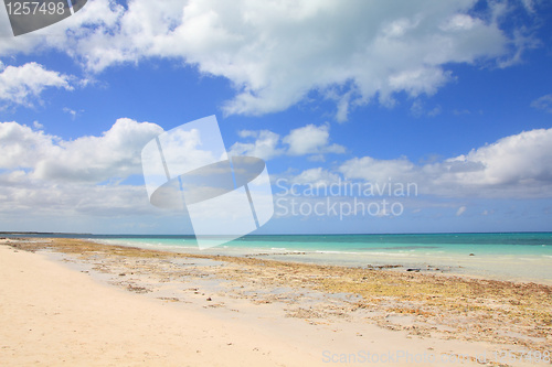 Image of Cuba - tropical beach