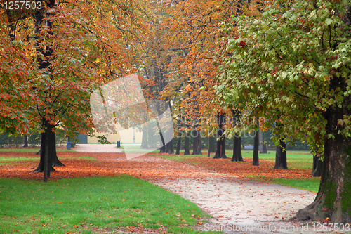 Image of Autumn