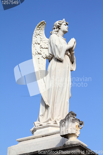 Image of Angel sculpture