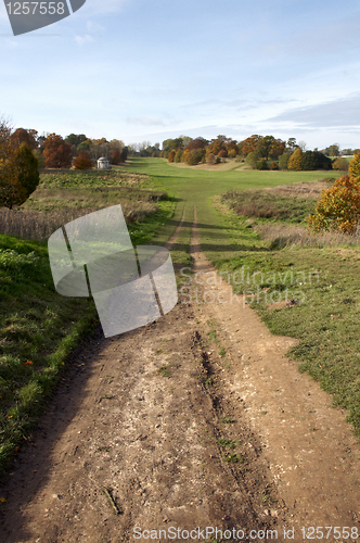 Image of Autumn trees