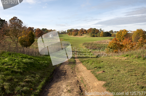 Image of Autumn trees