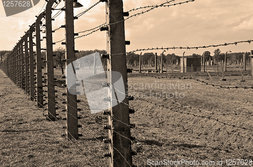 Image of Auschwitz Birkenau concentration camp.