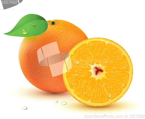 Image of Fresh juicy oranges 