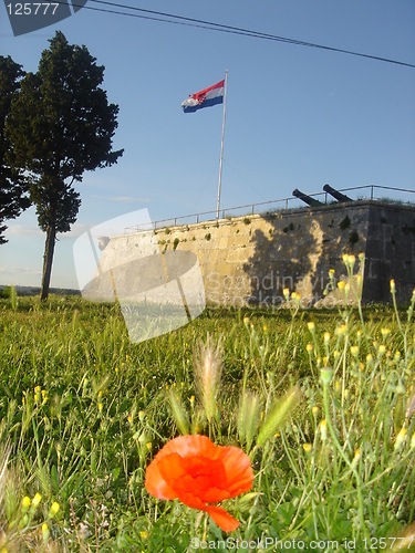Image of Flower and fortress