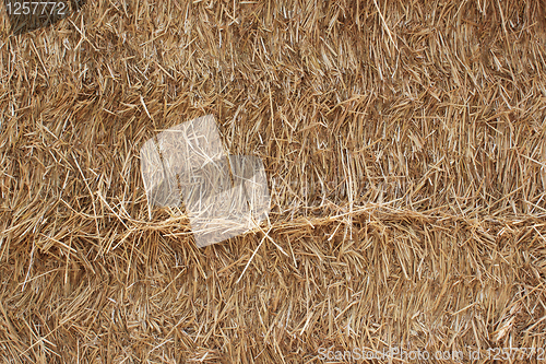 Image of straw