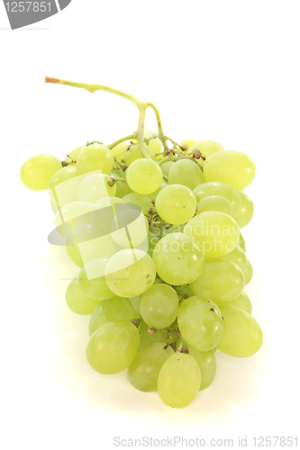 Image of bright grapes