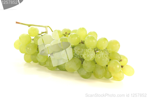 Image of bright grapes