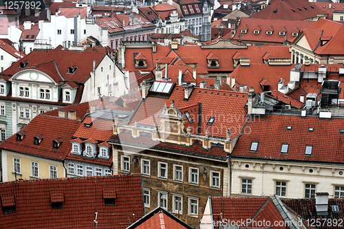 Image of Old tiled roofs