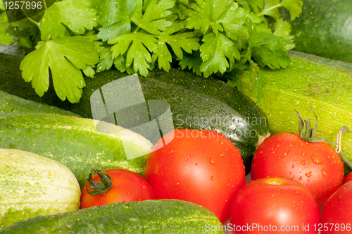 Image of Fresh Vegetables