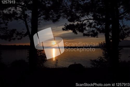 Image of THrough the trees