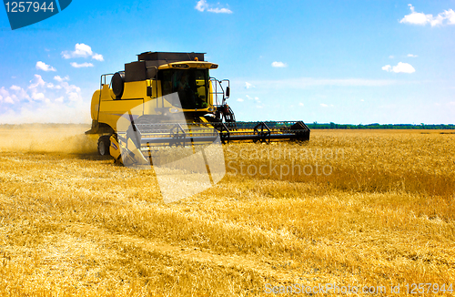 Image of combine harvester