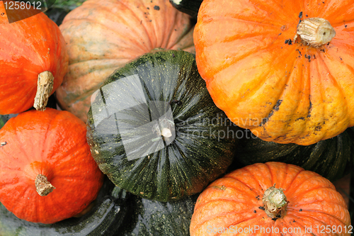 Image of pumpkin background