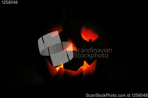 Image of halloween pumpkin