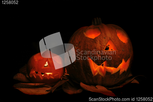 Image of halloween pumpkins