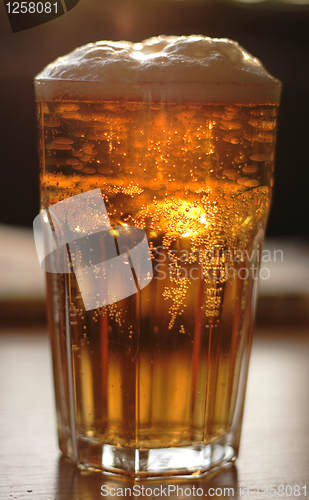 Image of beer in the glass