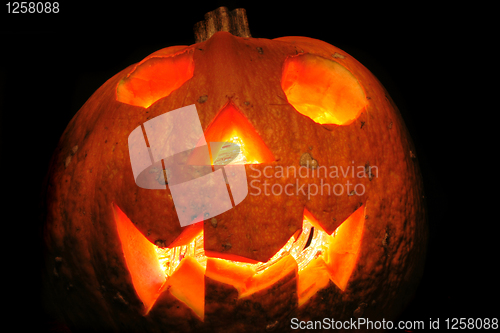 Image of halloween pumpkin