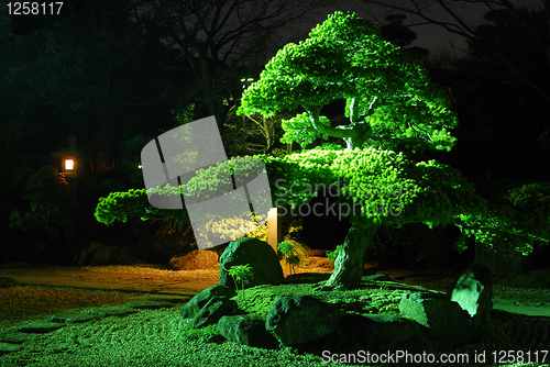 Image of zen garden by night