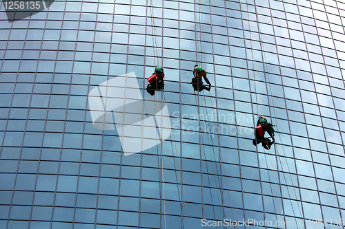 Image of window cleaners at work