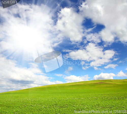 Image of green hill with grass under sky