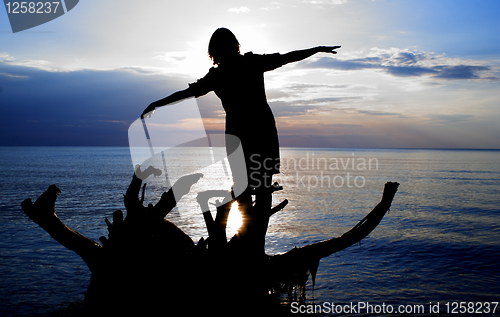 Image of Woman standing on fallen tree at evening