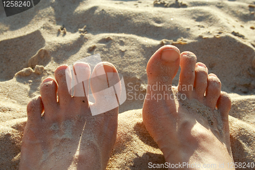 Image of Human legs lying on coastal hot sand