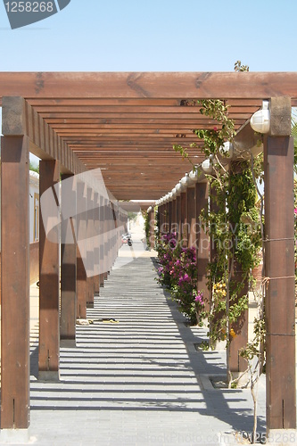 Image of Wooden pergola