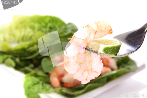 Image of Prawns