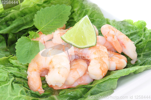 Image of Prawns