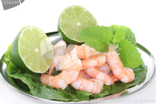 Image of Prawns