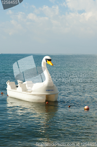 Image of Swan pedal boat