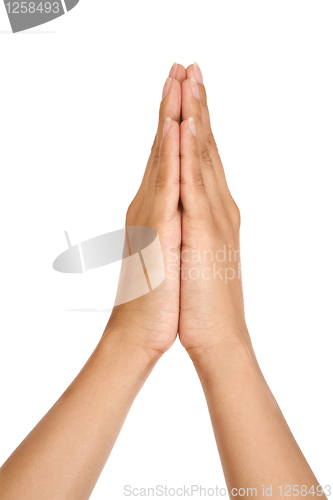 Image of Woman praying hands