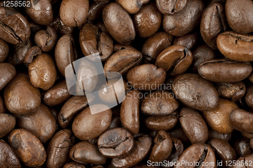 Image of Coffee beans