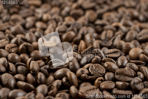 Image of Coffee beans