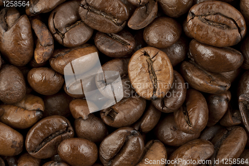 Image of Coffee beans