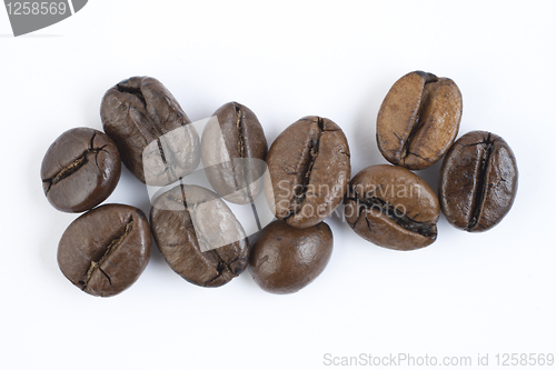 Image of Coffee beans