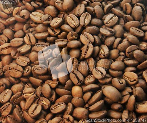 Image of Coffee beans closeup