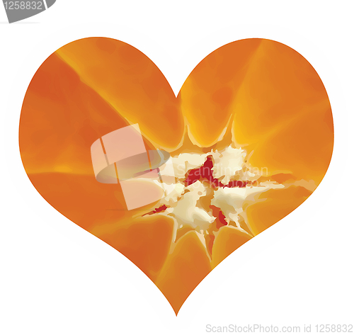 Image of citrus love symbol