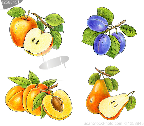 Image of fruits collection