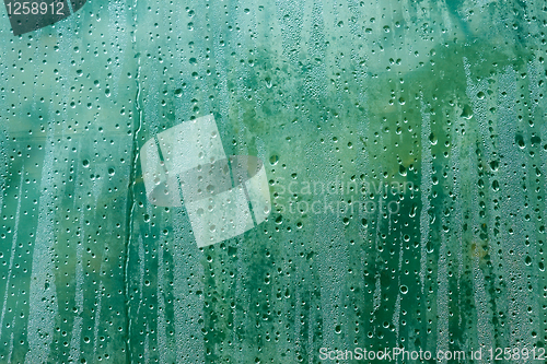 Image of Condensed water drops