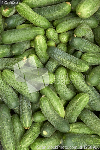 Image of Heap of green cucumbers