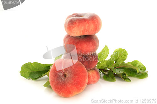 Image of mountain peach