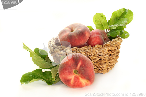 Image of mountain peach