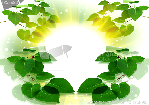 Image of Abstract are solar a summer background