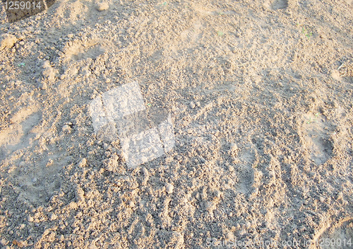 Image of sea sand 