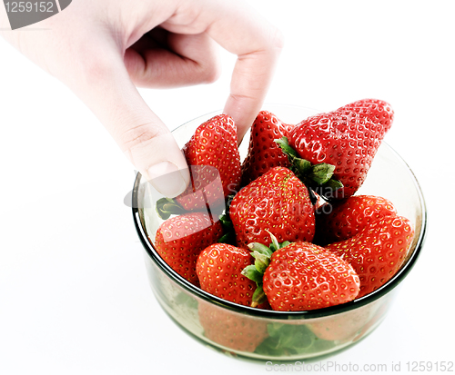 Image of Strawberry