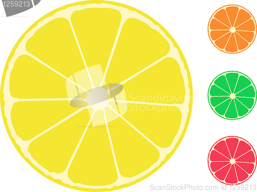 Image of citrus fruit. Orange, lemon, lime, grapefruit