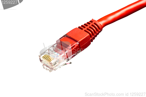 Image of Red network plug on white 