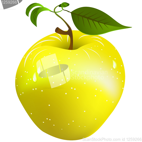 Image of Fresh apple