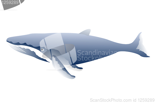 Image of Sperm whale