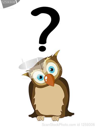 Image of Owl with question mark